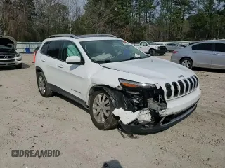 2016 Jeep Cherokee Limited with VIN 1C4PJMDS7GW254214, listed as a Copart auction lot 46733055 with 130,117 mi miles and Salvage Title. Bid and sale history available at DreamBid. Image 11.