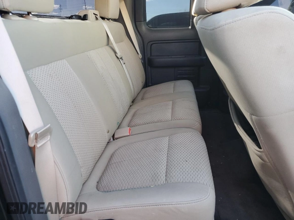 2010 Ford F-150 XL with VIN 1FTFX1CV0AFA85214, listed as a Copart auction lot 40868584 with Not Provided miles and Salvage Title. Bid and sale history available at carsss.com. Image 10.