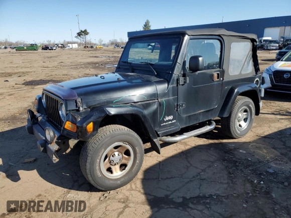 2003 Jeep Wrangler X with VIN 1J4FA39S33P357059, listed as a Copart auction lot 48983315 with 166,532 mi miles and Salvage title. Bid and sale history available at DreamBid. Image 1.