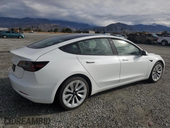 2023 Tesla Model 3 with VIN 5YJ3E1EA9PF450392, listed as a Copart auction lot 48534385 with 36,829 mi miles and Salvage Title. Bid and sale history available at DreamBid. Image 3.
