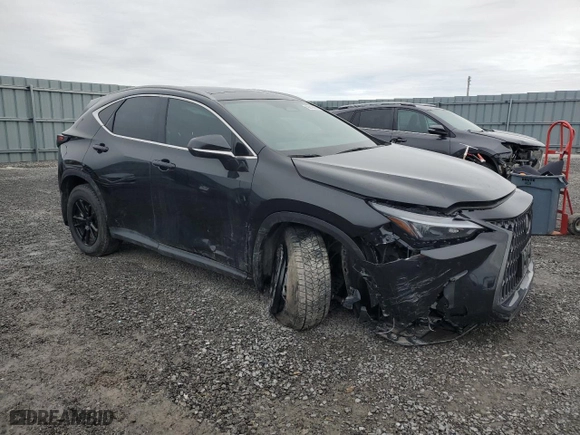 2024 Lexus NX with VIN 2T2GKCEZ0RC022385, listed as a Copart auction lot 49212895 with 16,600 mi miles and Clean Title. Bid and sale history available at carsss.com. Image 4.