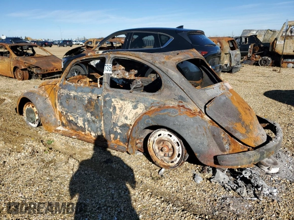 1969 Volkswagen Beetle with VIN 119732081, listed as a Copart auction lot 73503964 with Not Provided miles and Non Repairable. Bid and sale history available at DreamBid. Image 2.
