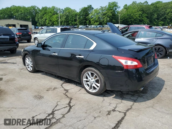 2010 Nissan Maxima SV with VIN 1N4AA5AP0AC834558, listed as a Copart auction lot 59543425 with 171,377 mi miles and Salvage title. Bid and sale history available at DreamBid. Image 2.