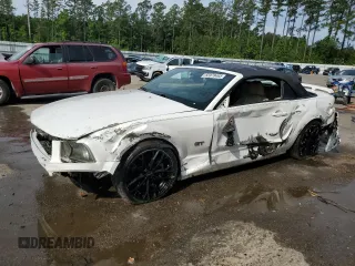 2008 Ford Mustang GT Deluxe with VIN 1ZVHT85H885135990, listed as a Copart auction lot 55978465 with 79,249 mi miles and Salvage title. Bid and sale history available at DreamBid. Image 1.