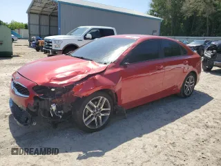 2019 Kia Forte S z VIN 3KPF34AD9KE117676, wystawiony jako Copart lot #57088475 z przebiegiem 166 314 mil mil oraz Szkoda całkowita • Salvage title. Historia ofert i sprzedaży dostępna na DreamBid. Obrazek 1.