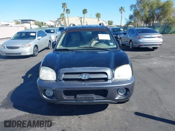 2006 Hyundai Santa Fe GLS with VIN KM8SC73D06U111314, listed as a IAAI auction lot 41874246 with 126,127 mi miles. Bid and sale history available at carsss.com. Image 12.