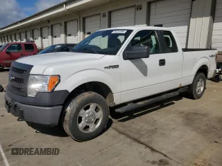 2013 Ford F-150 XL с VIN 1FTFX1EF8DKE35559, выставлен на аукционе Copart как лот 55754985 с пробегом 193 184 миль миль и Списание • Salvage title. История ставок и продаж доступна на DreamBid. Изображение 1.