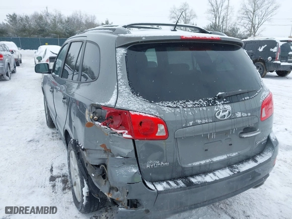 2009 Hyundai Santa Fe SE with VIN 5NMSH13E19H287053, listed as a IAAI auction lot 41600820 with 0 mi miles. Bid and sale history available at carsss.com. Image 3.