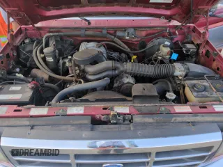 1994 Ford F-150 with VIN 1FTEF15N8RNA84390, listed as a Copart auction lot 75266914 with 232,563 mi miles and Non Repairable. Bid and sale history available at carsss.com. Image 11.