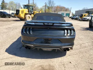 2019 Ford Mustang GT Premium with VIN 1FATP8FF7K5179636, listed as a Copart auction lot 51994055 with 123,771 mi miles and Salvage title. Bid and sale history available at DreamBid. Image 6.