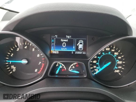 2014 Ford Escape SE with VIN 1FMCU9GX8EUC86958, listed as a Copart auction lot 42552605 with 258,691 mi miles and Salvage Title. Bid and sale history available at carsss.com. Image 9.