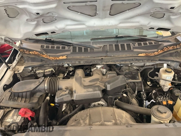 2019 Ford F-250 XL z VIN 1FT7X2B63KEC14817, wystawiony jako IAAI lot #42639323 z przebiegiem 173 427 mil mil oraz . Historia ofert i sprzedaży dostępna na DreamBid. Obrazek 17.