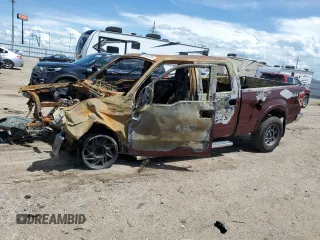2010 Ford F-150 XL with VIN 1FTFW1EV2AFC78934, listed as a Copart auction lot 62594795 with Not provided miles and Salvage title. Bid and sale history available at DreamBid. Image 1.