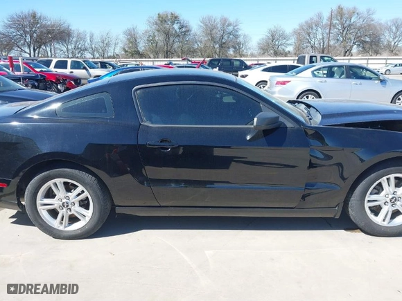 2013 Ford Mustang V6 with VIN 1ZVBP8AM8D5259572, listed as a IAAI auction lot 41655526 with 42,753 mi miles. Bid and sale history available at carsss.com. Image 14.