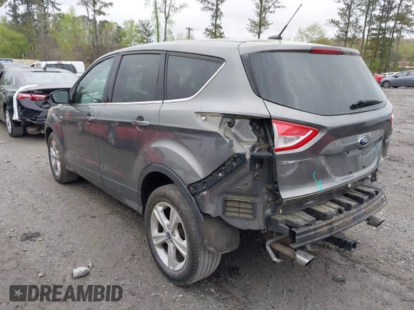 2014 Ford Escape SE with VIN 1FMCU0GX4EUB37846, listed as a IAAI auction lot 41913346 with 131,982 mi miles. Bid and sale history available at carsss.com. Image 3.
