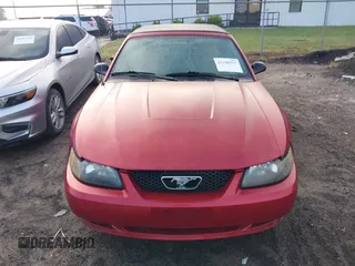 2004 Ford Mustang Deluxe with VIN 1FAFP44604F212319, listed as a IAAI auction lot 42100591 with 191,992 mi miles. Bid and sale history available at carsss.com. Image 6.