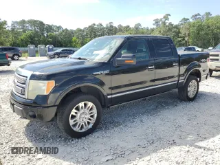 2009 Ford F-150 XL z VIN 1FTPW14V89FB31129, wystawiony jako Copart lot #51804665 z przebiegiem 227 851 mil mil oraz Czysty tytuł • Clean title. Historia ofert i sprzedaży dostępna na DreamBid. Obrazek 1.