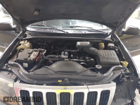 1999 Jeep Grand Cherokee Laredo with VIN 1J4GW58SXXC649579, listed as a IAAI auction lot 42365959 with 199,742 mi miles and . Bid and sale history available at DreamBid. Image 10.