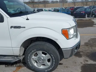 2013 Ford F-150 XL with VIN 1FTFW1EF0DKE89439, listed as a IAAI auction lot 41895497 with 131,567 mi miles. Bid and sale history available at carsss.com. Image 6.
