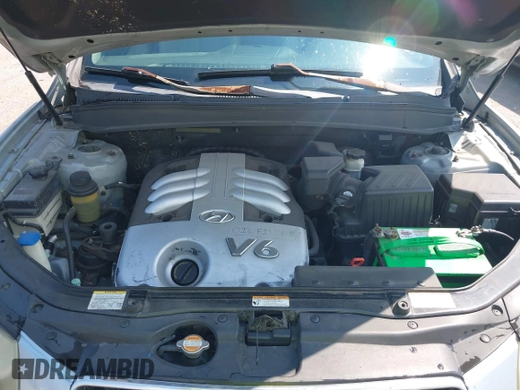 2007 Hyundai Santa Fe SE with VIN 5NMSH13E77H024627, listed as a IAAI auction lot 42684627 with 294,784 mi miles and . Bid and sale history available at DreamBid. Image 10.