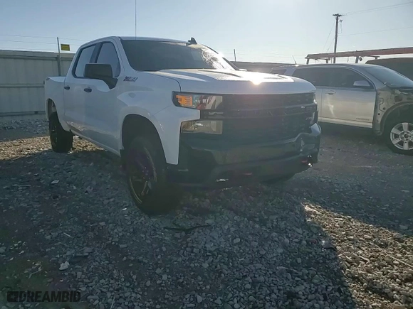2019 Chevrolet Silverado 1500 Custom Trail Boss with VIN 3GCPYCEFXKG174758, listed as a Copart auction lot 45525875 with 167,345 mi miles and Salvage Title. Bid and sale history available at carsss.com. Image 10.