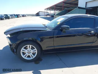 2013 Ford Mustang V6 with VIN 1ZVBP8AM8D5259572, listed as a IAAI auction lot 41655526 with 42,753 mi miles. Bid and sale history available at carsss.com. Image 18.