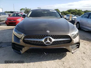 2019 Mercedes-Benz CLS with VIN WDD2J5JB2KA028193, listed as a Copart auction lot 66185433 with 66,844 mi miles and Clean Title. Bid and sale history available at carsss.com. Image 5.