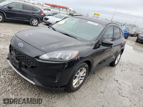 2020 Ford Escape SE Sport Hybrid with VIN 1FMCU0BZ0LUB48929, listed as a Copart auction lot 51770225 with 440,184 mi miles and Salvage title. Bid and sale history available at DreamBid. Image 1.