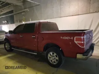 2010 Ford F-150 XL with VIN 1FTEW1E88AFD74475, listed as a Copart auction lot 33668862 with Not Provided miles and Salvage Title. Bid and sale history available at carsss.com. Image 3.