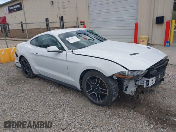 2023 Ford Mustang EcoBoost с VIN 1FA6P8TH2P5110069, выставлен на аукционе IAAI как лот 41941535 с пробегом Не указан миль и . История ставок и продаж доступна на DreamBid. Изображение 1.