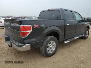 2010 Ford F-150 XL with VIN 1FTEW1E84AFD14774, listed as a Copart auction lot 60530435 with 150,299 mi miles and Salvage title. Bid and sale history available at DreamBid. Image 3.