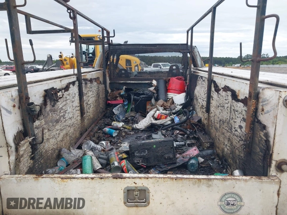 1999 Ford F-250 XL with VIN 1FTNX21F0XEA66495, listed as a IAAI auction lot 42451917 with Not provided miles and . Bid and sale history available at DreamBid. Image 12.