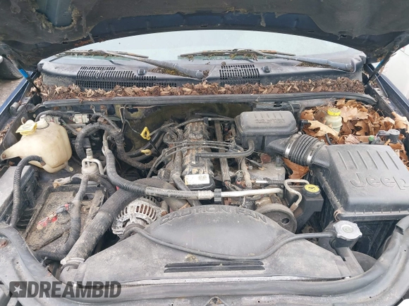 2003 Jeep Grand Cherokee Laredo with VIN 1J4GW48S63C591605, listed as a IAAI auction lot 42389898 with 177,024 mi miles and . Bid and sale history available at DreamBid. Image 10.