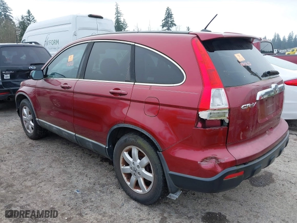 2008 Honda CR-V EX-L with VIN 5J6RE38788L007049, listed as a IAAI auction lot 41874805 with 241,227 mi miles. Bid and sale history available at carsss.com. Image 3.