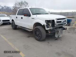 2014 Ford F-150 XL with VIN 1FTFW1EF1EFB02696, listed as a IAAI auction lot 41758358 with 250,297 mi miles. Bid and sale history available at carsss.com. Image 1.
