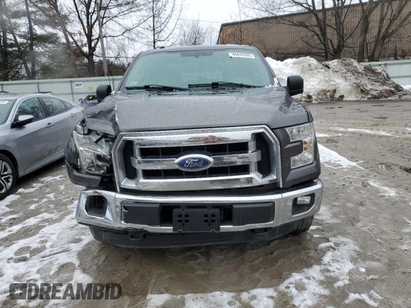 2016 Ford F-150 XLT with VIN 1FTEW1EF3GFB13004, listed as a Copart auction lot 46842095 with 171,971 mi miles and Salvage Title. Bid and sale history available at carsss.com. Image 5.