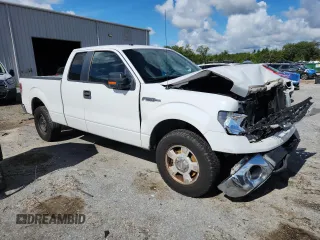 2011 Ford F-150 XL with VIN 1FTEX1CM5BFB48134, listed as a Copart auction lot 63298945 with 218,595 mi miles and Salvage title. Bid and sale history available at DreamBid. Image 4.