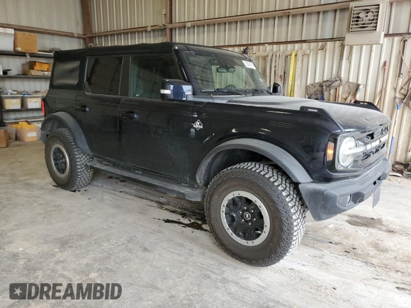 2021 Ford Bronco with VIN 1FMEE5DPXMLA91211, listed as a Copart auction lot 53406165 with 32,999 mi miles and Clean title. Bid and sale history available at DreamBid. Image 4.