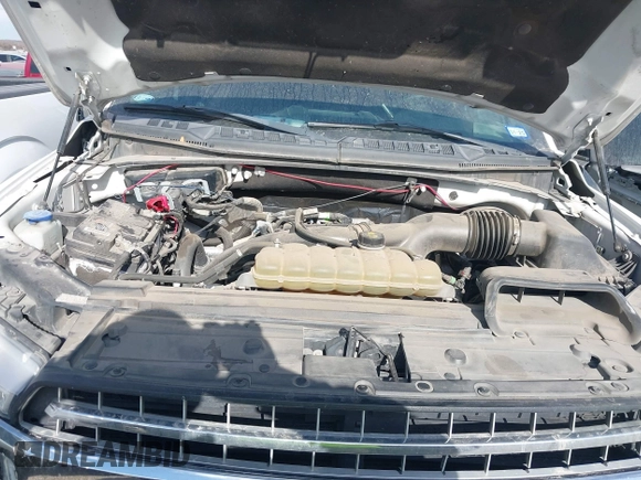 2019 Ford F-150 XL with VIN 1FTEW1CP7KKC75312, listed as a IAAI auction lot 41271422 with 135,228 mi miles and . Bid and sale history available at carsss.com. Image 10.