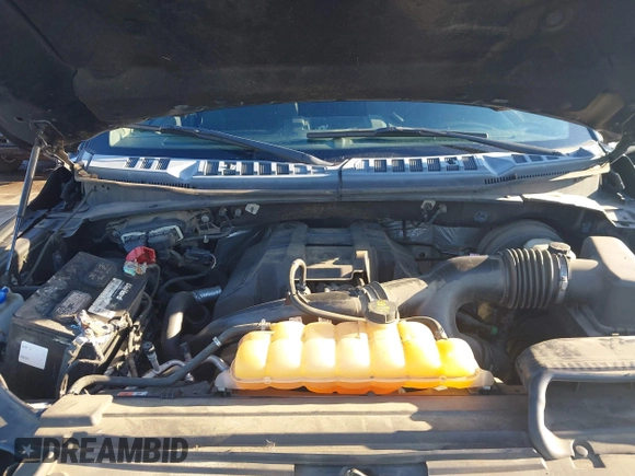 2017 Ford F-150 XL with VIN 1FTEW1CP1HFB17419, listed as a IAAI auction lot 41570543 with 237,373 mi miles. Bid and sale history available at carsss.com. Image 10.