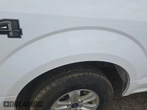 2017 Ford F-150 XL with VIN 1FTEX1EP1HKC73011, listed as a IAAI auction lot 42788915 with 196,143 mi miles and . Bid and sale history available at DreamBid. Image 31.
