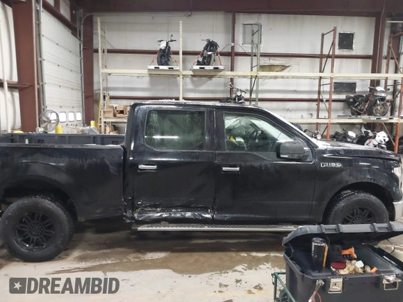 2016 Ford F-150 XLT with VIN 1FTFW1EF2GFA77374, listed as a IAAI auction lot 41352961 with 133,186 mi miles. Bid and sale history available at carsss.com. Image 13.