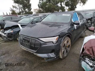 2022 Audi e-tron Premium Plus with VIN WA1LABGEXNB032371, listed as a Copart auction lot 81753974 with 0 mi miles and Salvage Title. Bid and sale history available at carsss.com. Image 1.