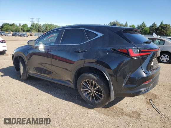 2024 Lexus NX 350h Premium с VIN 2T2GKCEZ6RC026831, выставлен на аукционе Copart как лот 57184185 с пробегом Не указан миль и Списание • Salvage title. История ставок и продаж доступна на DreamBid. Изображение 2.