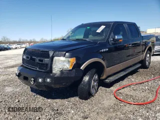 2012 Ford F-150 XL with VIN 1FTFW1EF1CFC47492, listed as a Copart auction lot 49002225 with 189,042 mi miles and Salvage Title. Bid and sale history available at carsss.com. Image 1.