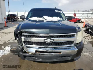 2009 Chevrolet Silverado 1500 LS with VIN 3GCEC13C29G250213, listed as a Copart auction lot 46454145 with 165,385 mi miles and Salvage Title. Bid and sale history available at carsss.com. Image 5.