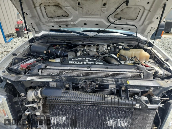 2009 Ford F-250 XL с VIN 1FTSW21R59EA10829, выставлен на аукционе Copart как лот 63988785 с пробегом 120 558 миль миль и Чистый • Clean title. История ставок и продаж доступна на DreamBid. Изображение 11.