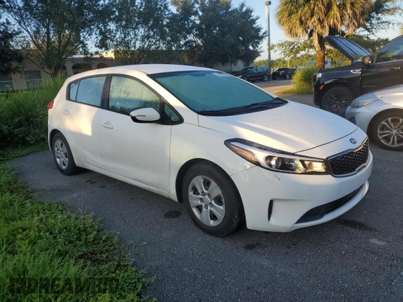 2017 Kia Forte LX with VIN KNAFK5A89H5702058, listed as a Copart auction lot 74037364 with Not Provided miles and Non Repairable. Bid and sale history available at DreamBid. Image 4.