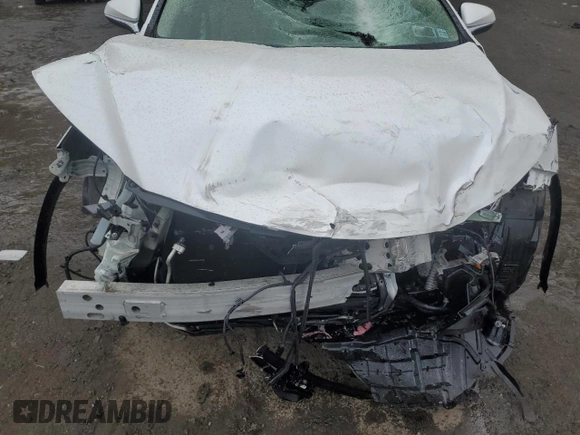 2019 Lexus RX with VIN JTJDZKCAXK2016735, listed as a Copart auction lot 43195745 with 0 mi miles and Salvage Title. Bid and sale history available at carsss.com. Image 13.