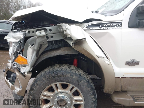 2013 Ford F-250 XL with VIN 1FT7W2BT6DEA95933, listed as a IAAI auction lot 41856698 with 168,236 mi miles and . Bid and sale history available at DreamBid. Image 17.